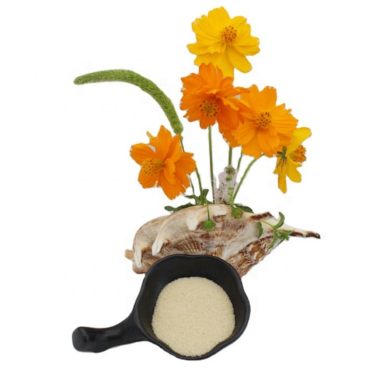 Food additive Bovine bone gelatin Halal gelatin Halal bovine bone gelatin